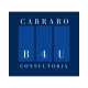 Carraro consultoria